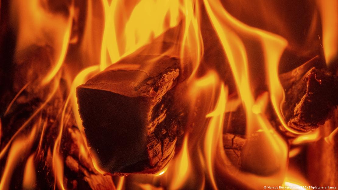 Cocinar alimentos con fuego controlado permitió a los homínidos ahorrar energía digestiva.