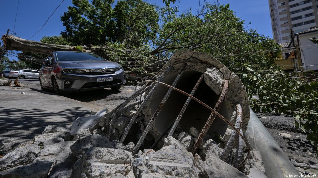Grande árvore caída sobre um carro