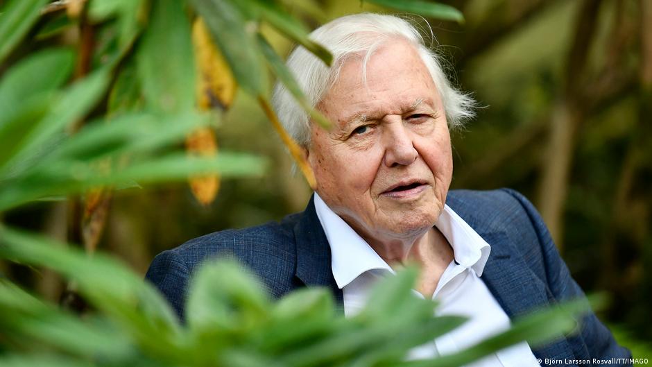 David Attenborough: A Century of Wonder and Witness — image 2
