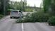 A car stops after passing a downed tree during Storm Johannes, in Mora, Sweden, on December 27, 2025 A car stops after passing a downed tree during Storm Johannes, in Mora, Sweden, on December 27, 2025