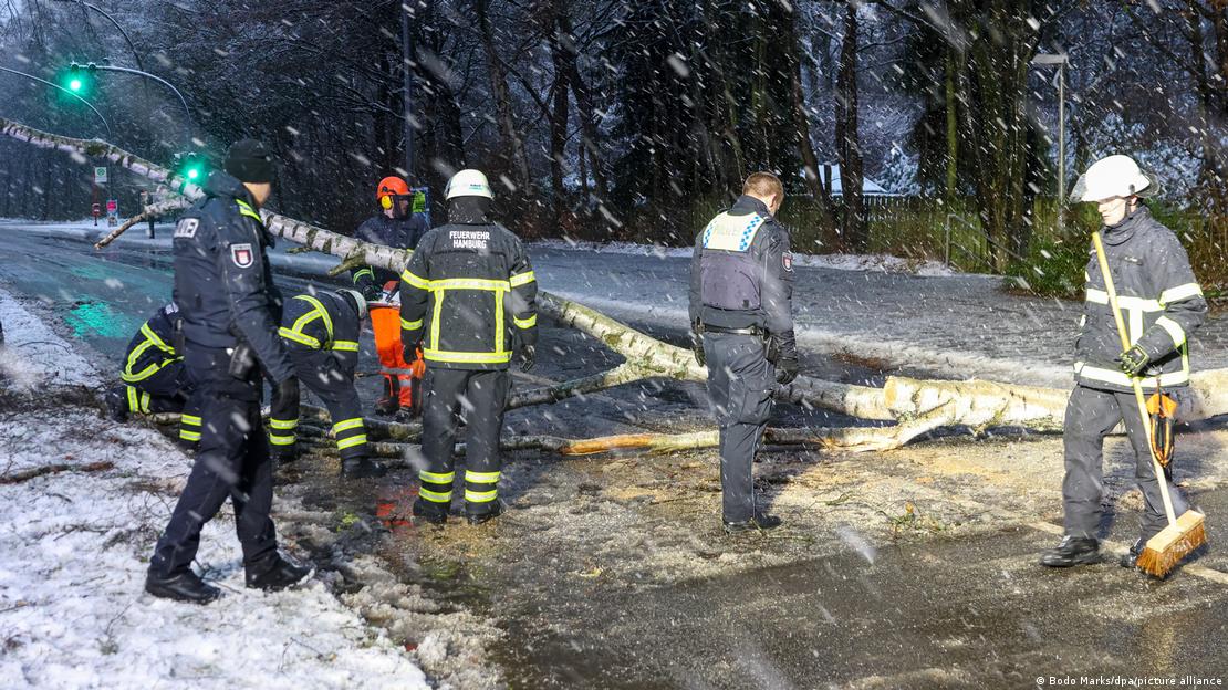 Homens trabalham para remover árvore de rodovia em meio à neve