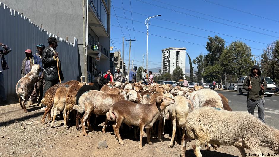 የገና ዋዜማ የገበያ ሁኔታ በአዲስ አበባ የተወሰኑ አካባቢዎች