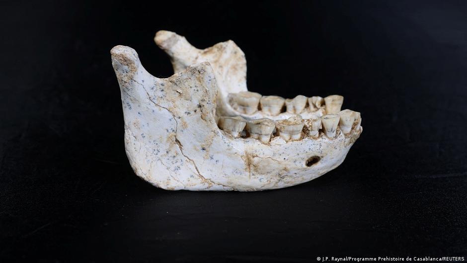 Fósiles de homínidos hallados en Marruecos podrían redefinir origen del Homo sapiens
