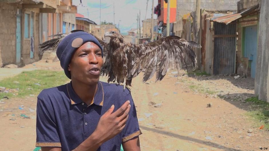 One man's mission to save injured birds in Nairobi – DW – 01
