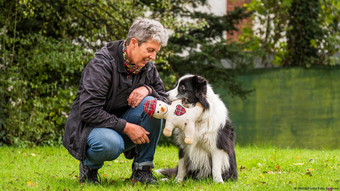 Border Collie mordiendo un muñeco, junto con su dueño.