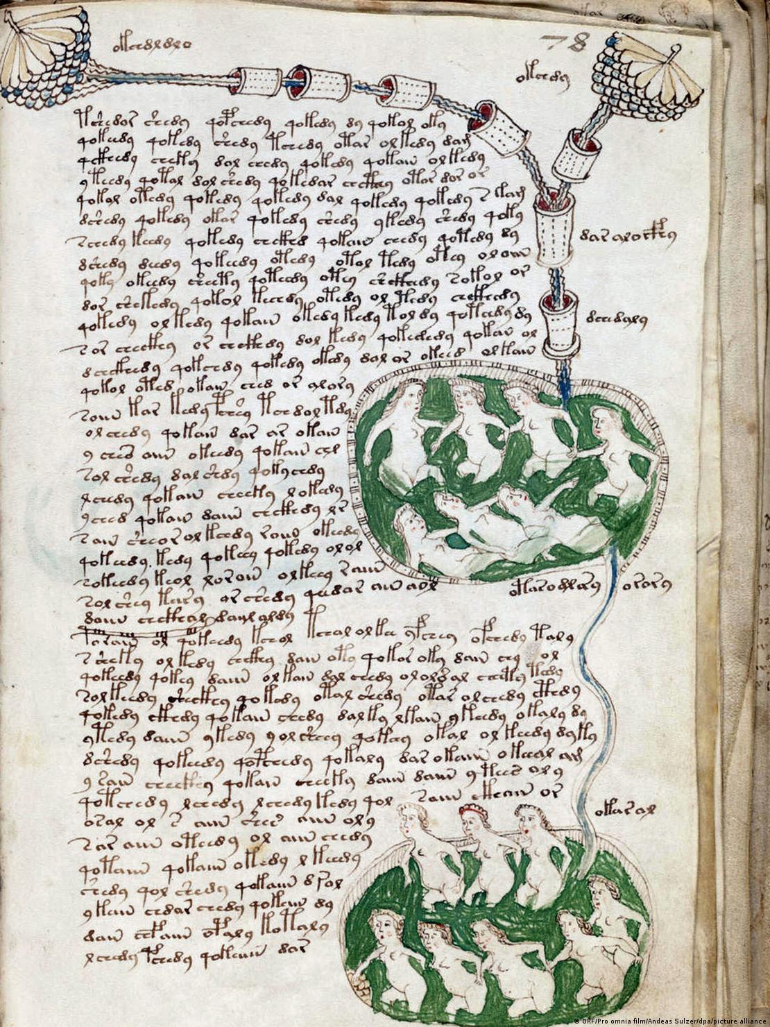 Página del manuscrito de Voynich con figuras de mujeres, que según Davis podría reunir saberes populares femeninos, aunque “eso aún no se puede demostrar”.