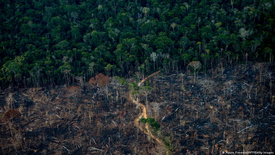 Deforestación en la Amazonia brasileña registra su nivel más bajo en casi 40 años