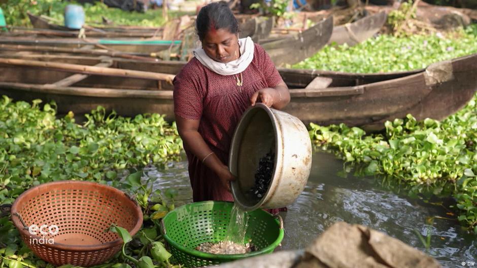 Kerala’s Vembanad Lake: Averting an ecological crisis