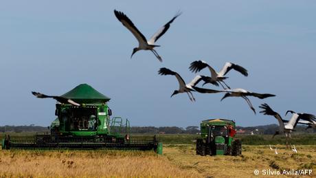 Onde o Brasil ganha no acordo com a UE