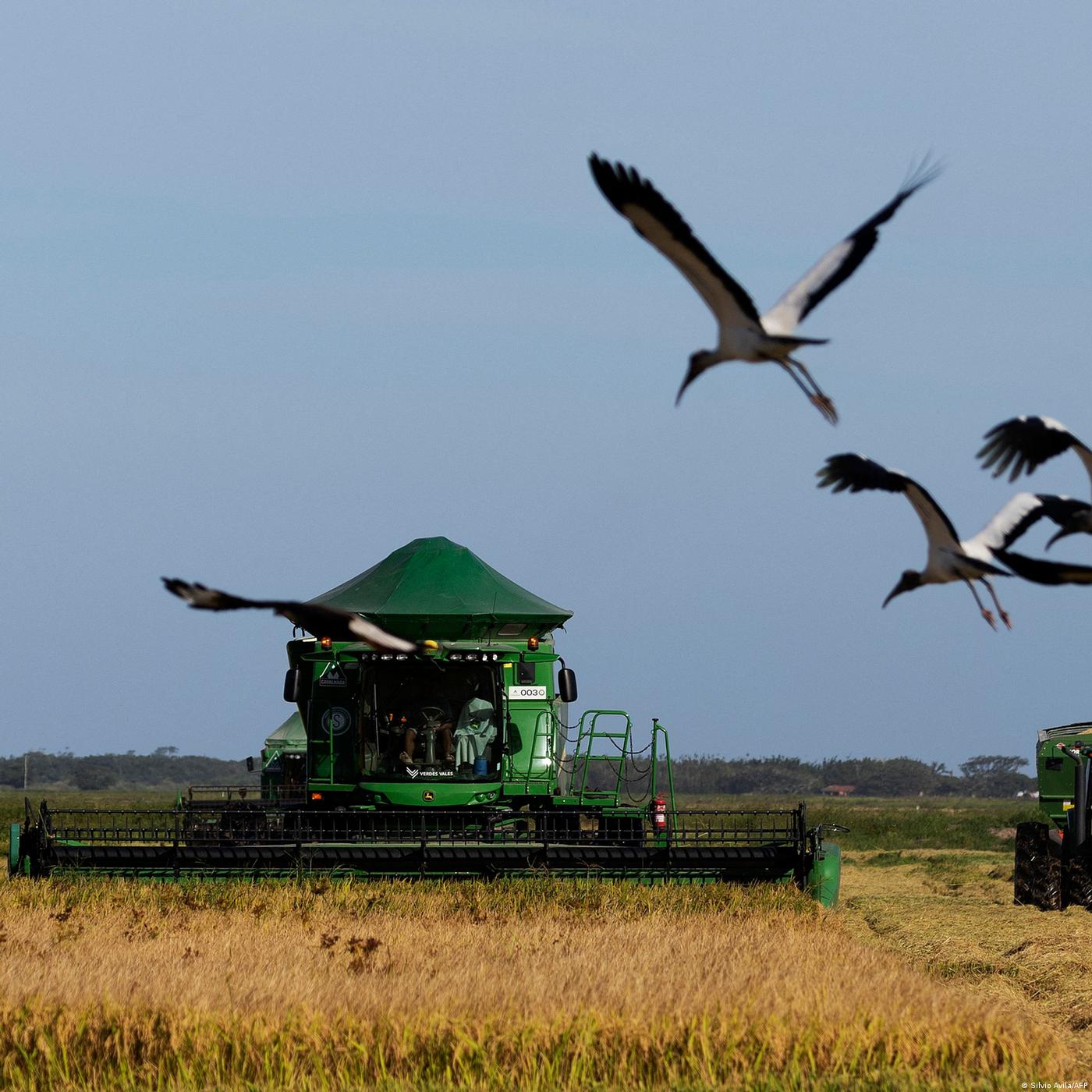 Onde o Brasil ganha no acordo com a UE