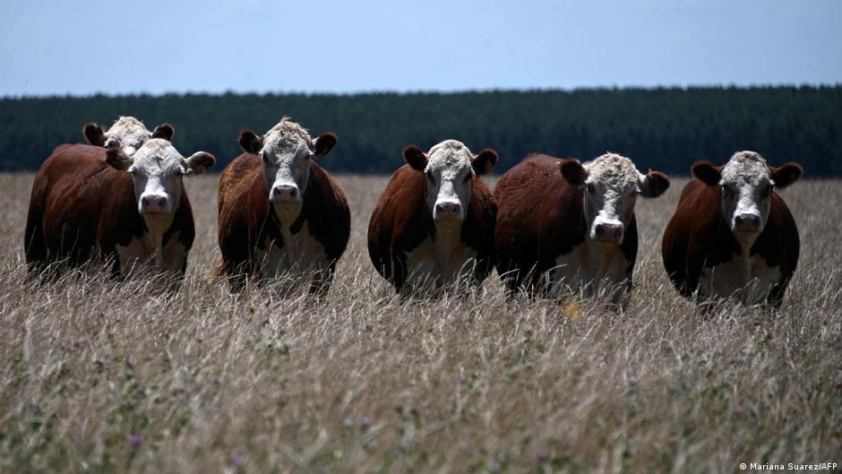 EU, Mercosur sign landmark trade deal