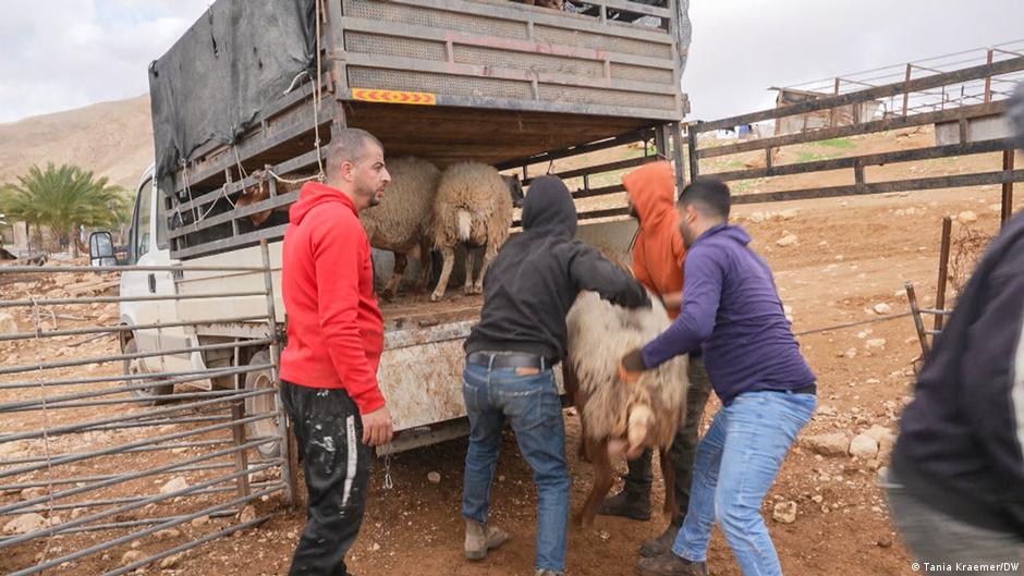 Israeli settlers empty last Bedouin village in West Bank