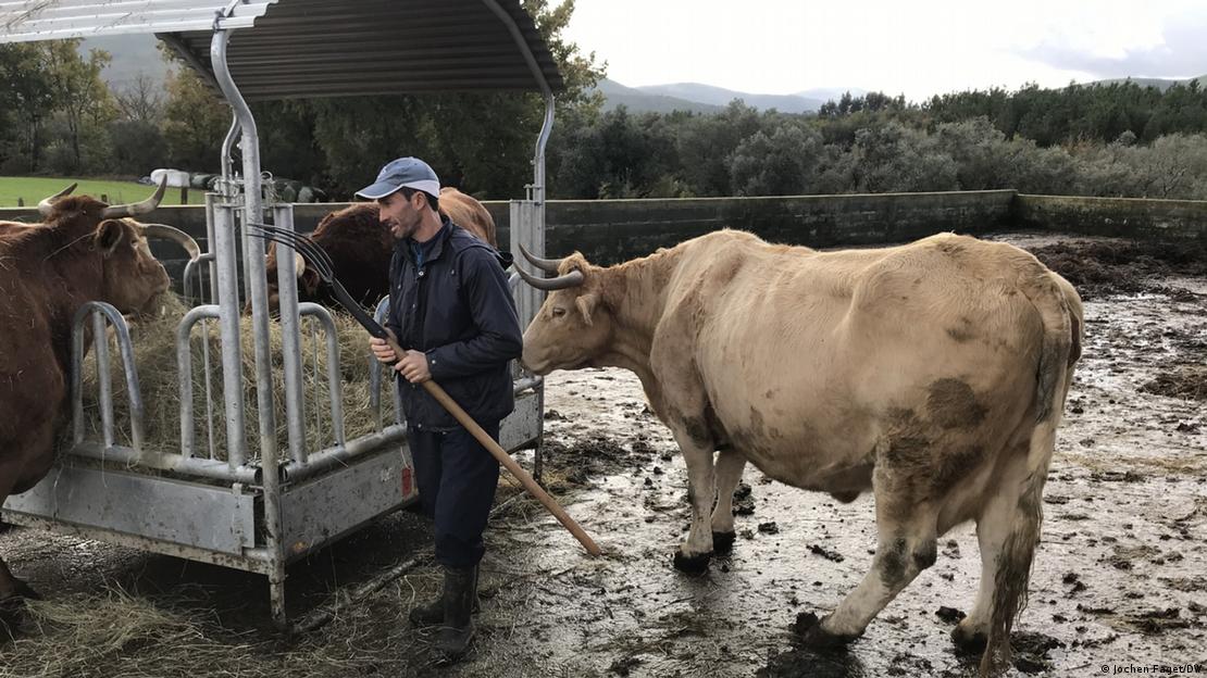 Nelson Gomeš na svom imanju