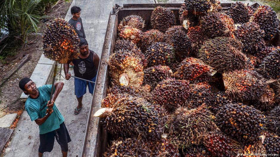 The controversial ingredient the world can't quit