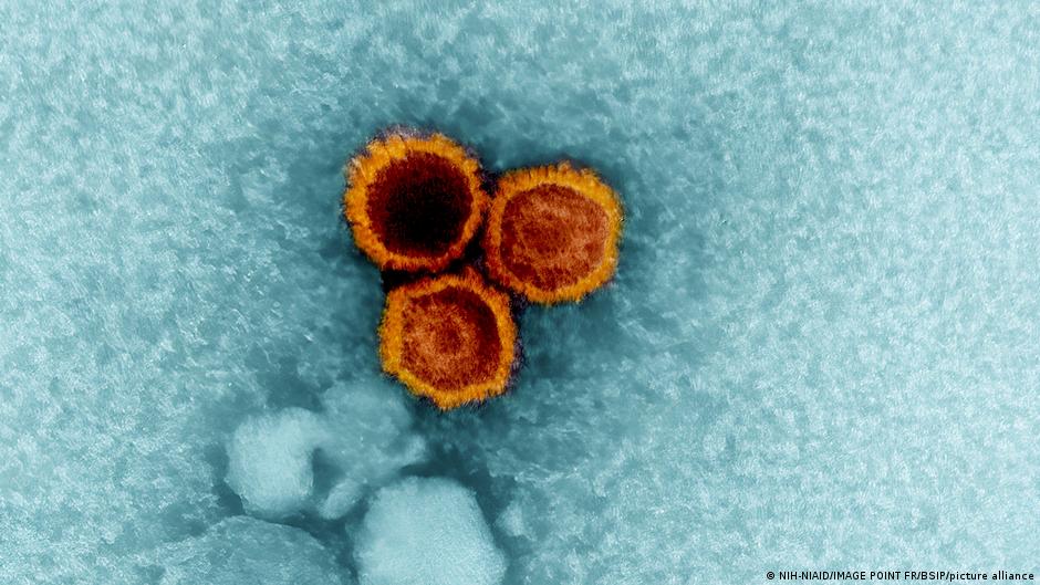 Neue-Erkl-rung-Wer-erkrankt-an-Multiple-Sklerose-