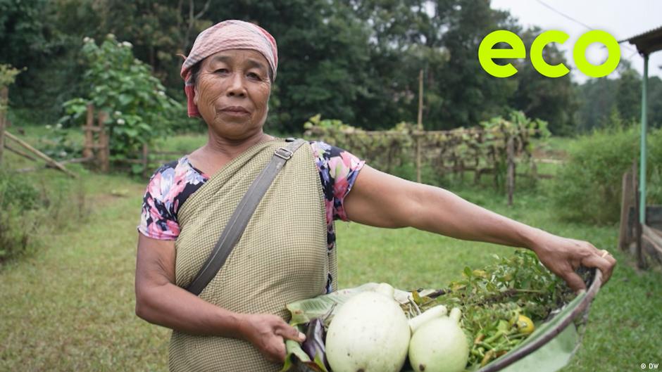 Feeding resilience: food security for people and wildlife