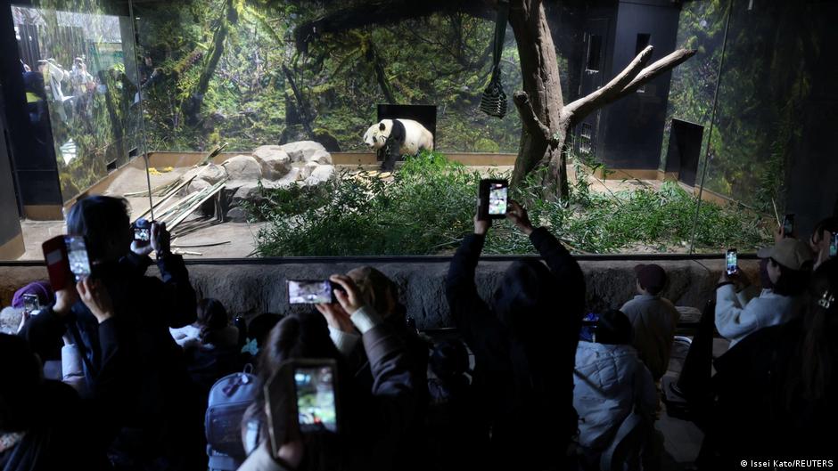 Wie-China-den-Wahlkampf-in-Japan-beeinflusst