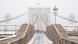 USA New York City 2026 | Blick auf verschneite Brooklyn Bridge während massiven Schneesturms USA New York City 2026 | Blick auf verschneite Brooklyn Bridge während massiven Schneesturms