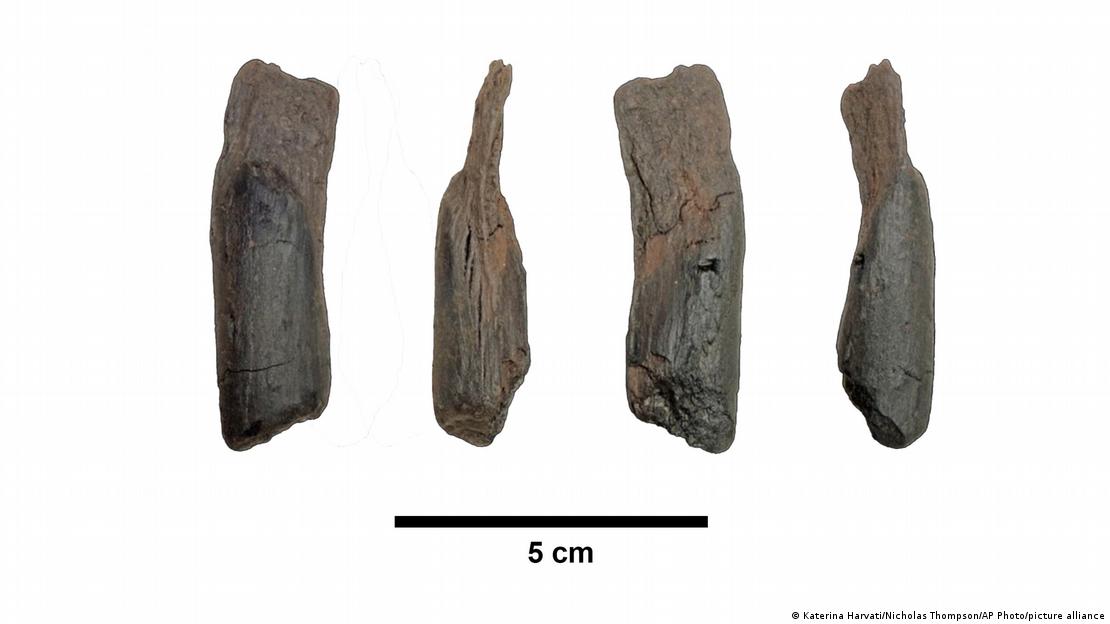 Distintos ángulos de la herramienta de madera de 430.000 años hallada en Grecia.