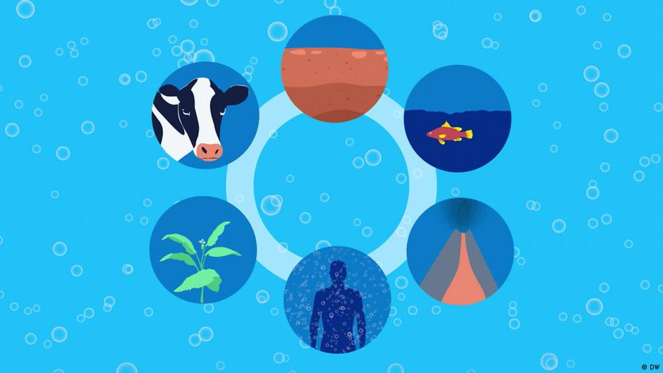 How much CO2 can the Earth really absorb?