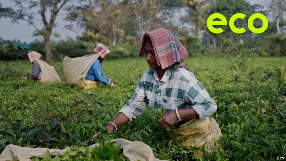 From problem to opportunity - Adapting to a changing world