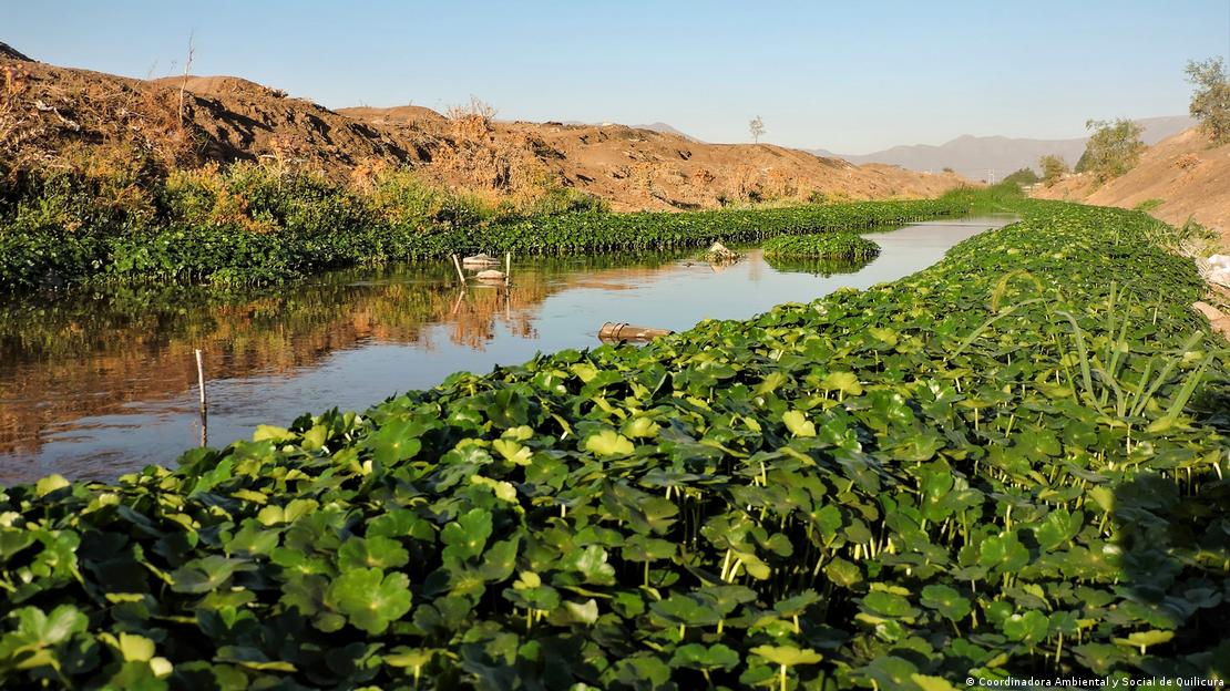 Vista del humedal en Quilicura: vegetación y una corriente de agua entre colinas.