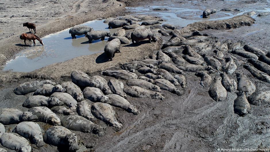 Is Africa ready for El Niño? Experts warn of drought and floods ahead