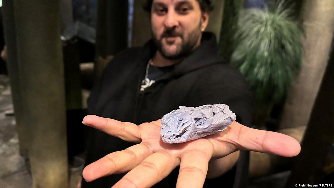 Fósil sostenido por el investigador Arjan Mann. Fósil sostenido por el investigador Arjan Mann.