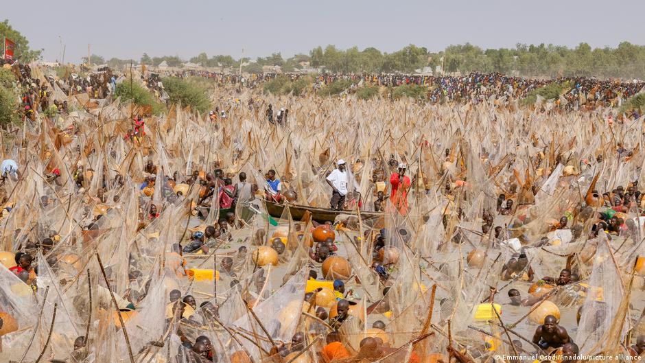 Nigeria's Argungu Fishing Festival back after six years