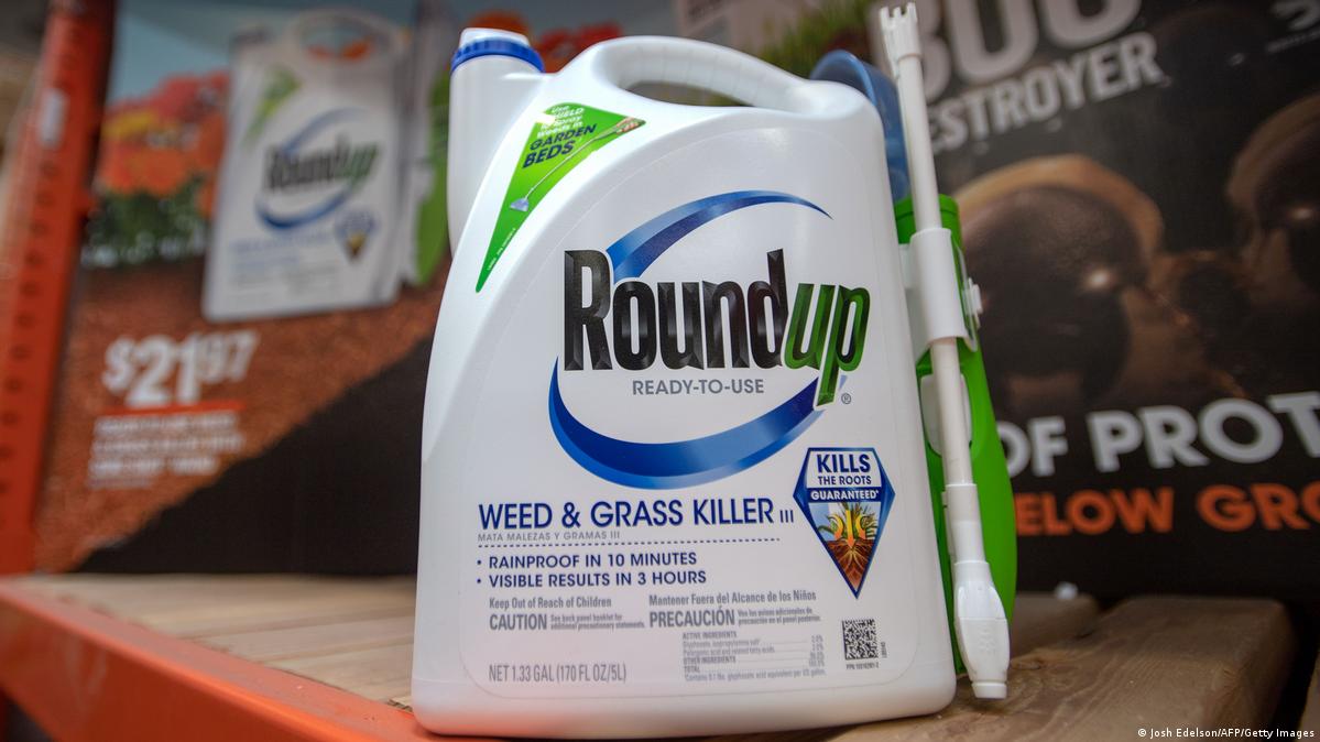 Roundup is commonly found in US households for controlling weeds, but Bayer has phased out its key ingredient glyphosate (FILE: July 9, 2019) Image: Josh Edelson/AFP/Getty Images