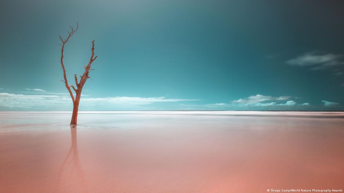 Pemë e tharë dhe mjedis i ndryshuar prej ndryshimeve klimatike