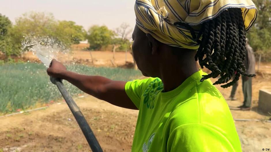 Solar-powered irrigation transforming life in northern Ghana