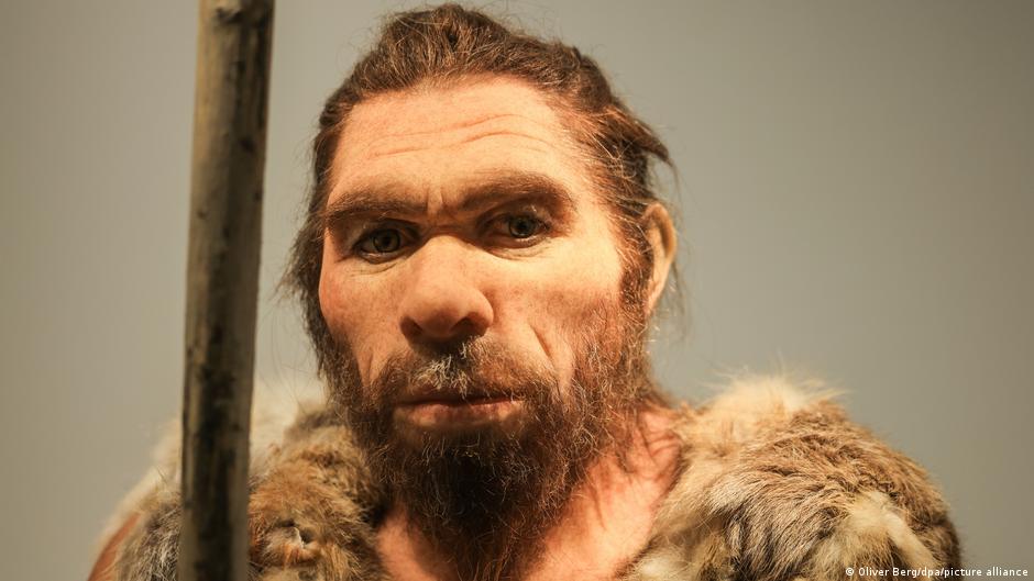 Preferências de acasalamento entre neandertais e sapiens reveladas em novo estudo