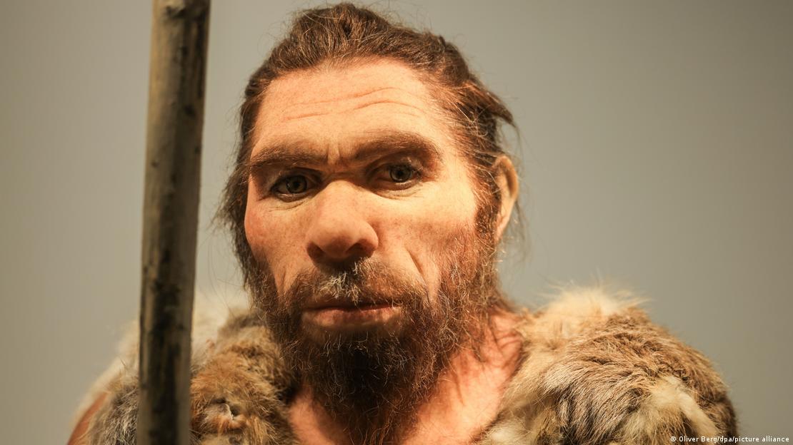 Reconstrucción de cómo era un neandertal en el museo regional de Bonn, a 65 km del Valle de Neander ('Neandertal'), en las cercanías de Düsseldorf.