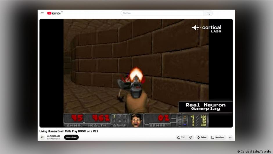 Neuronas humanas vivas juegan a Doom en un experimento de laboratorio