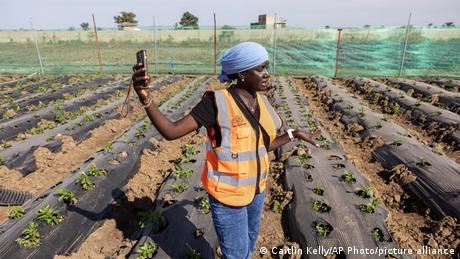 Dünger-Notstand: Afrikas Antworten auf die Hormus-Blockade