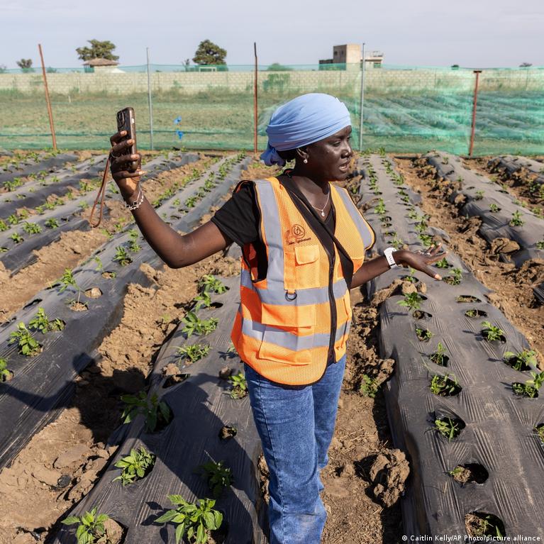 Fertilizer shortages: What are Africa's options during the Hormuz crisis?