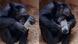 Chimpancé sosteniendo un cristal. Chimpancé sosteniendo un cristal.