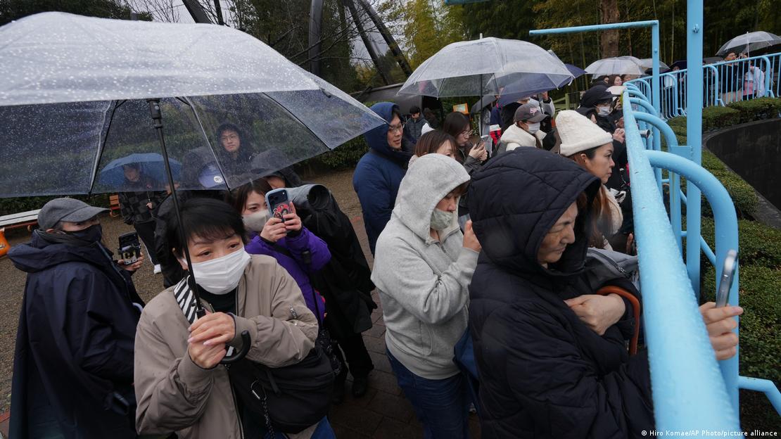 Admiradores del macaco Punch se acercan a la zona de juego del zoológico de Ichikawa el 3 de marzo de 2026, semanas después de que sus imágenes circularan en internet.