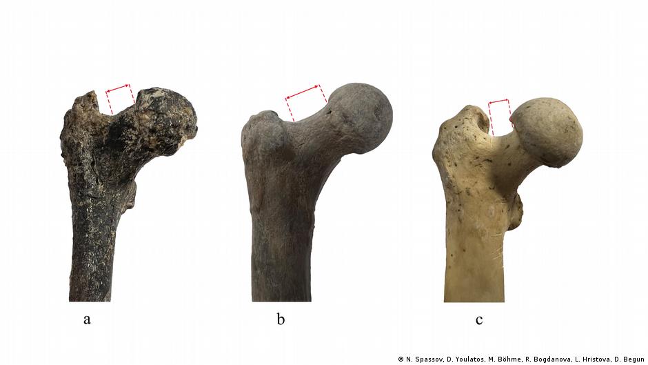 ¿El ser humano más antiguo... en Bulgaria? Un fósil desafía el origen africano de nuestra especie