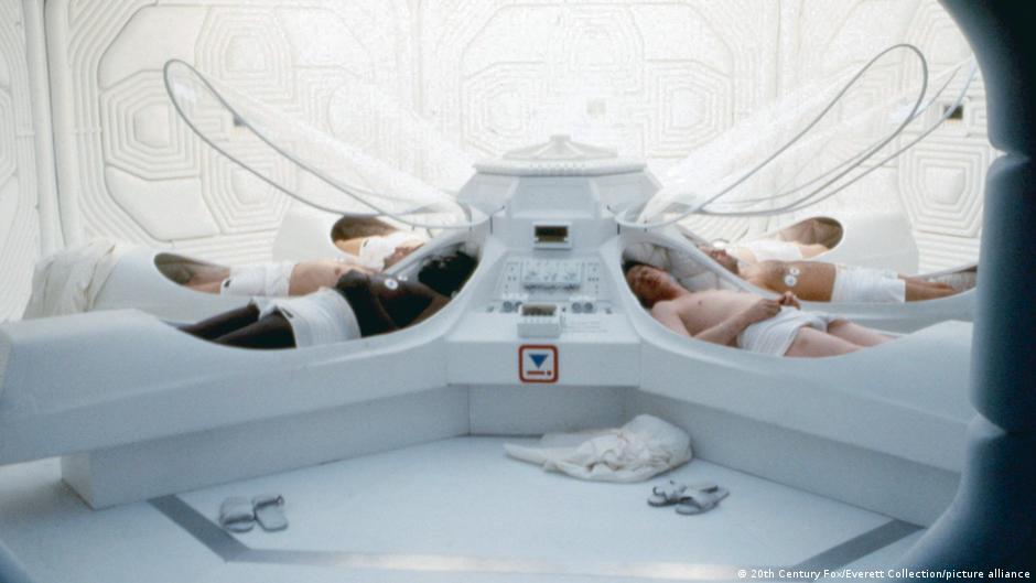 Experimento logra recuperar actividad neuronal tras congelación extrema