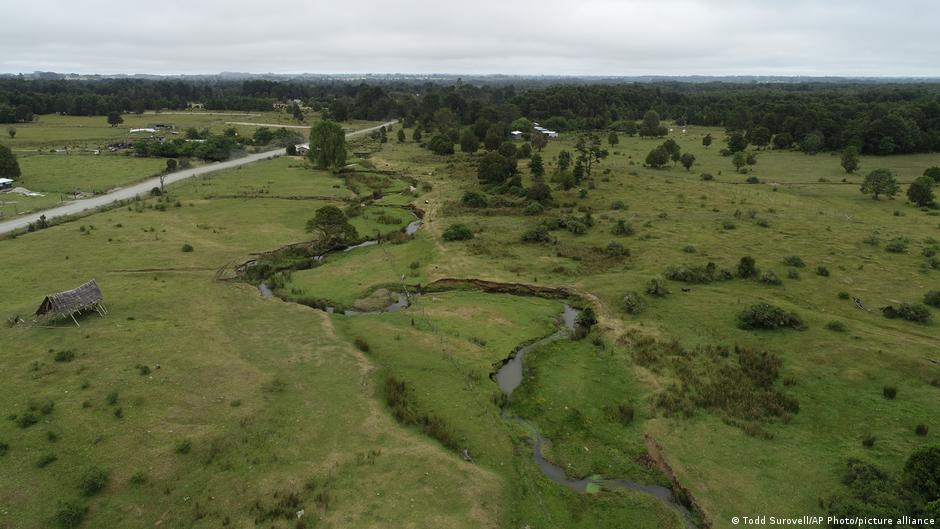 Estudio revisa la edad de Monte Verde y reabre el debate sobre el poblamiento de América