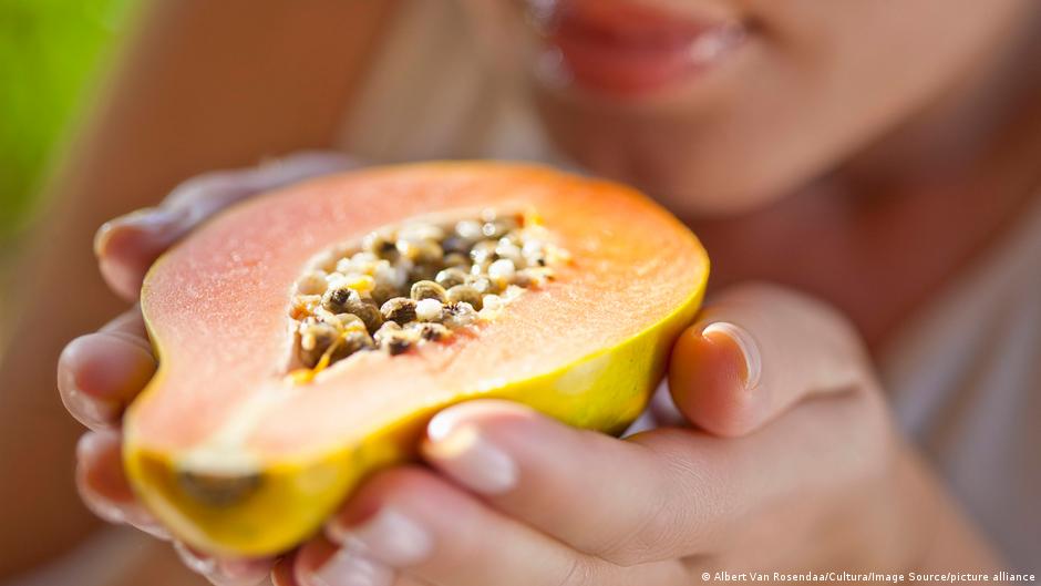 Estudiantes bolivianas investigan anticonceptivo masculino a base de papaya