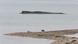 The whale is seen peeking out of water near sandbank which is visited by two ducks The whale is seen peeking out of water near sandbank which is visited by two ducks