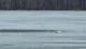 Debris lies across an ice-covered lake where Lithuania's army says that a suspected drone crashed into after entering the country's airspace, in Lavysas, Lithuania, March 23, 2026. Debris lies across an ice-covered lake where Lithuania's army says that a suspected drone crashed into after entering the country's airspace, in Lavysas, Lithuania, March 23, 2026.