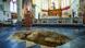 Piso de igreja em Maastricht escavado