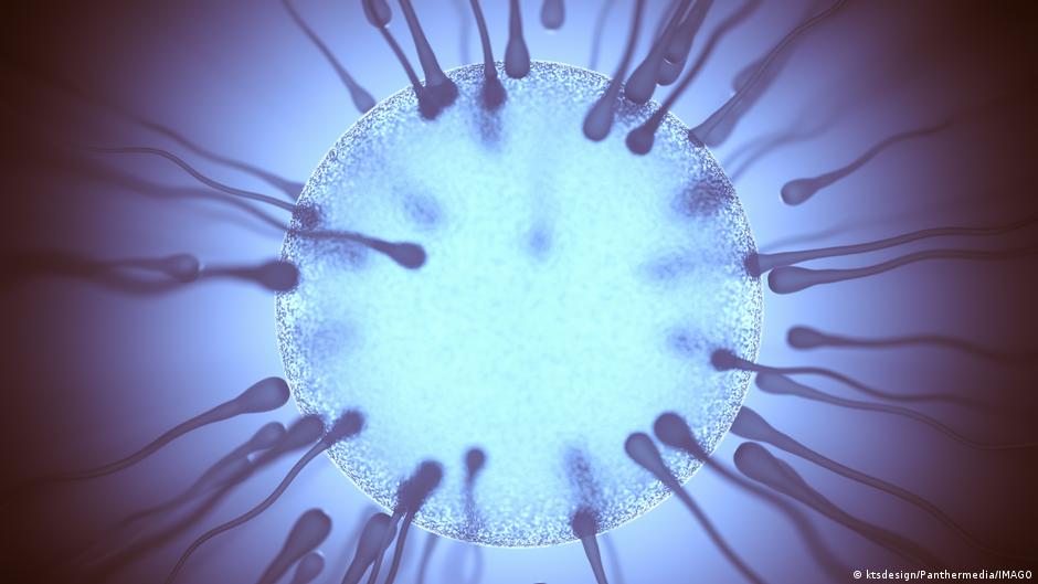 Eyacular con regularidad mejora la calidad del esperma, dice la ciencia