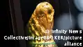 2026 World Cup: 6 things you need to know 