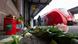 Blumen und Kerzen vor einem Zug im Bahnhof Blumen und Kerzen vor einem Zug im Bahnhof