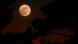 La "Luna Rosa" de abril sobre la silueta de la iglesia de Santiago en la ciudad de Mnichovo Hradiště, República Checa. (Archivo: 01.04.2026) La "Luna Rosa" de abril sobre la silueta de la iglesia de Santiago en la ciudad de Mnichovo Hradiště, República Checa. (Archivo: 01.04.2026)